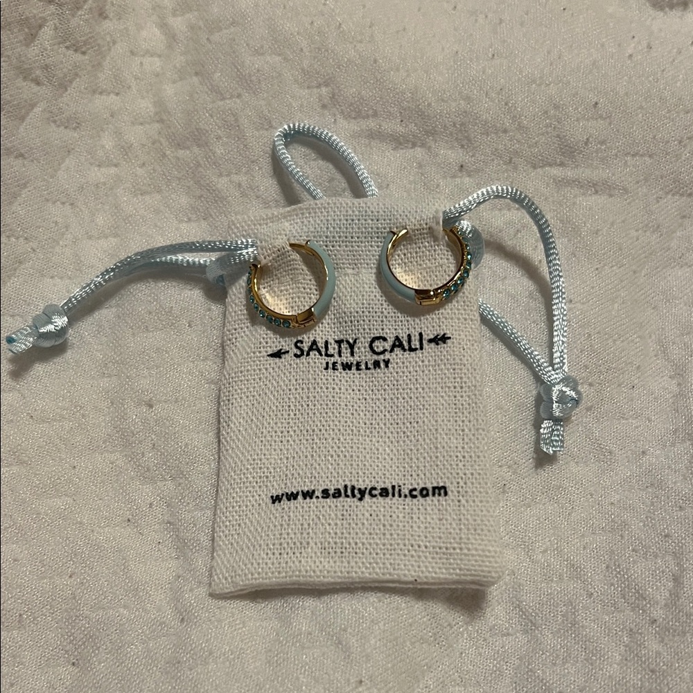 Gold and Blue Hoop Earrings
